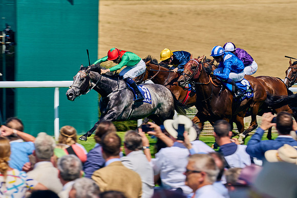 QGF2024_DominicJames_02027