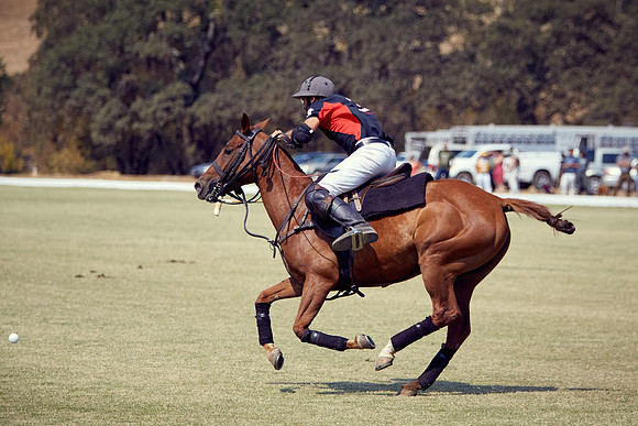 Oyster Cup Polo tournament