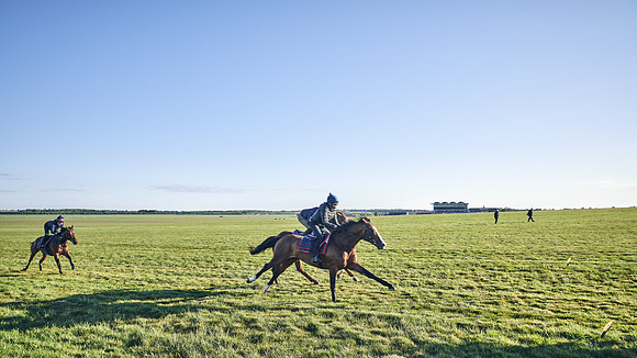SUMMER GALLOPS-2nd-May-DJ-1269