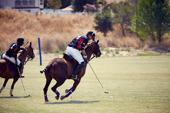 Oyster Cup Polo tournament