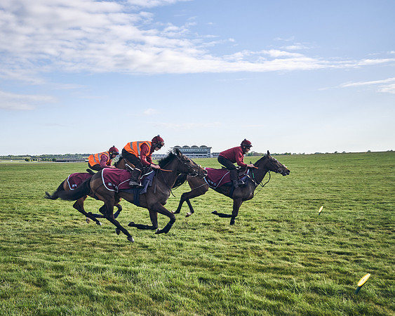 SUMMER GALLOPS-2nd-May-DJ-1773