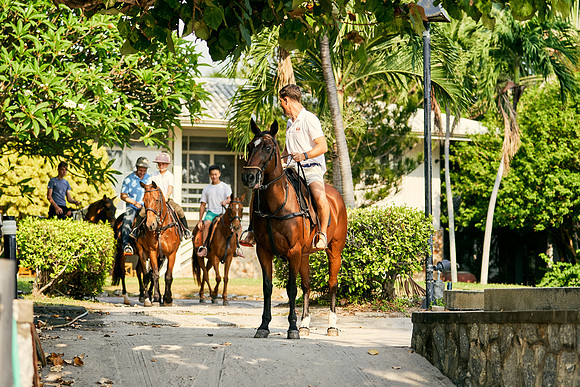 BEACH-RIDE-SATURDAY_2019_DomincJames_1117