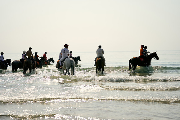 BEACH-RIDE-SATURDAY_2019_DomincJames_1482