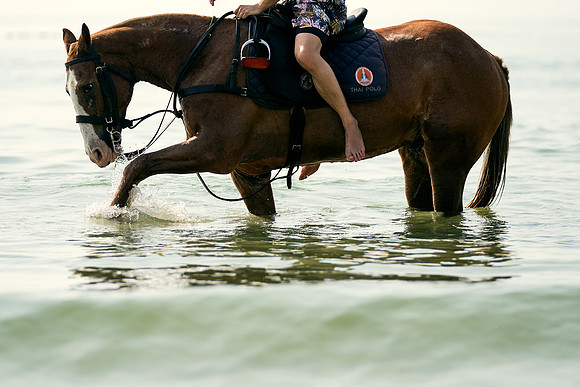 BEACH-RIDE-SATURDAY_2019_DomincJames_1637
