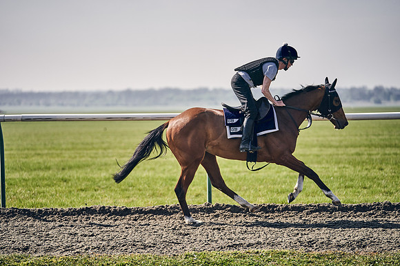 GEORGE-BOUGHEY-RACING-DJ-3381