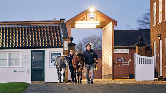 2023-11-28-Dominic-James-01618