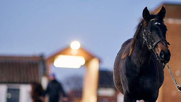 2023-11-28-Dominic-James-01648