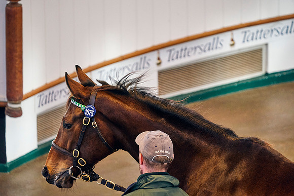 2023-12-05-Dominic-James-06796