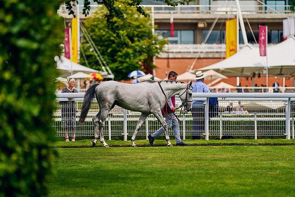QGF2024_DominicJames_06722