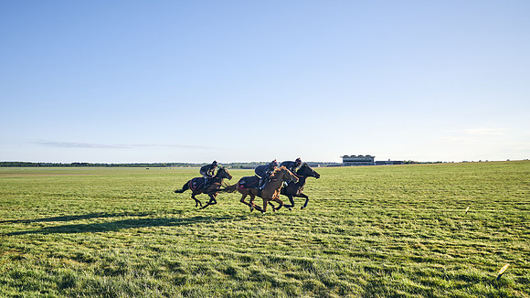 SUMMER GALLOPS-2nd-May-DJ-0942