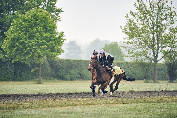 NEWMARKET-GALLOPS-24nd-APRIL-DJ-0163