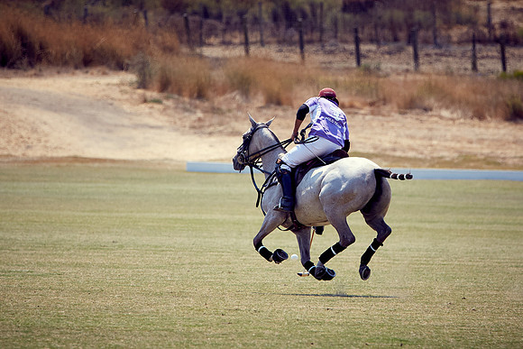 Oyster Cup Polo tournament