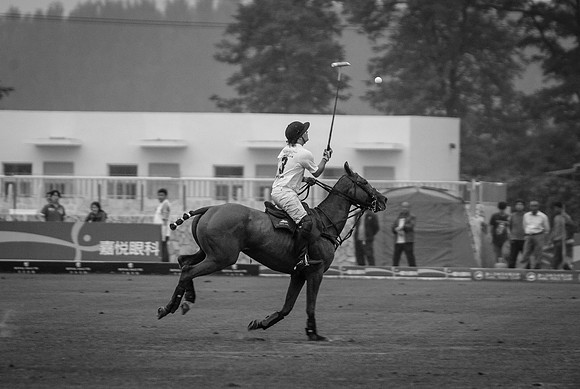 Royal Salute Gold Cup 2012 China Polo Open Tournament