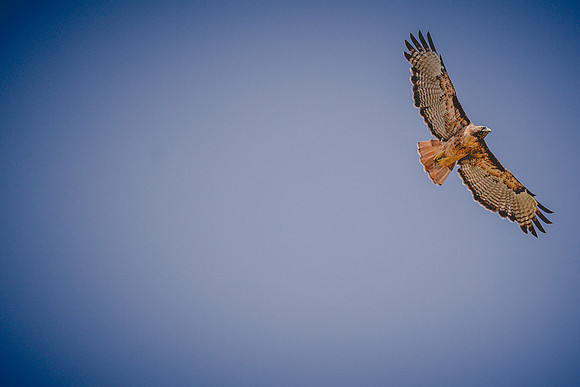 20140802AG3A6050.CR2