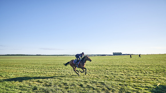 SUMMER GALLOPS-2nd-May-DJ-1276