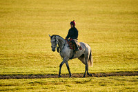 2nd Nov Bury Hill 003