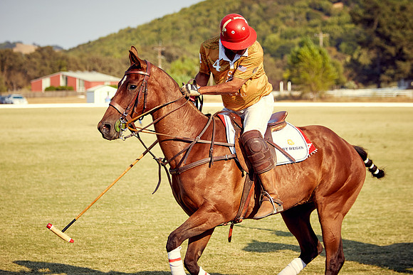 Oyster Cup Polo tournament