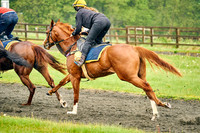 RHR  Richard Hughes