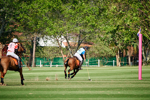 THAI-PINK-POLO-2019_DJ_3743