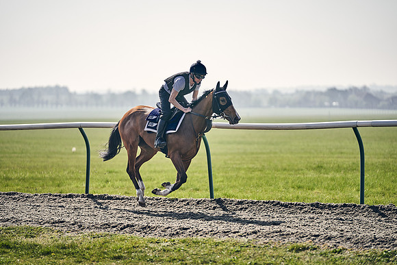 GEORGE-BOUGHEY-RACING-DJ-3362