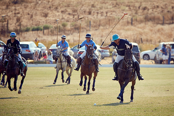 Oyster Cup Polo tournament