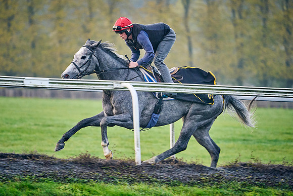 2021-11-11-Dominic-James-0898
