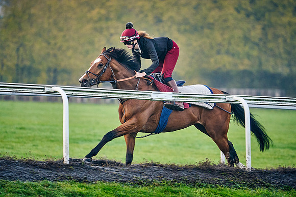 2021-11-11-Dominic-James-0988