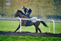 11th Nov Warren Hill 003