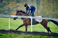11th Nov Warren Hill 003
