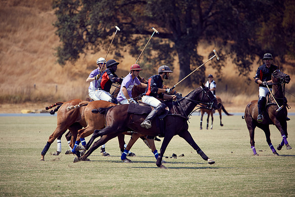 Oyster Cup Polo tournament