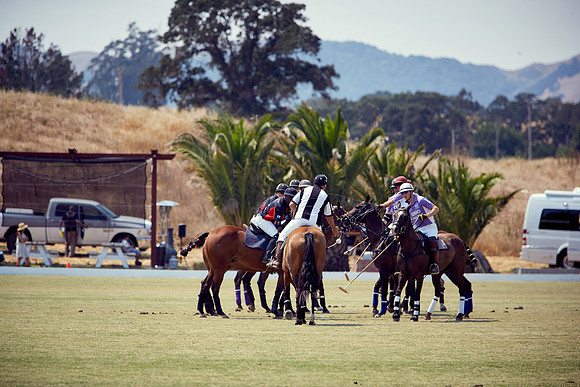 Oyster Cup Polo tournament