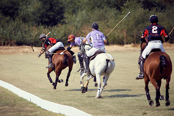 Oyster Cup Polo tournament