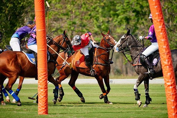 THAI-PINK-POLO-2020-Dominic-James_DJ98510.ARW2636