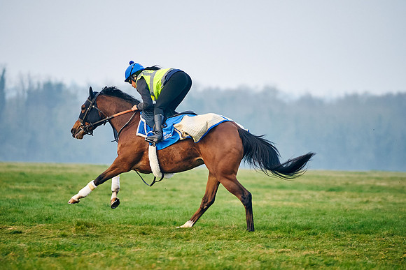 2022-03-23-Dominic-James-0609