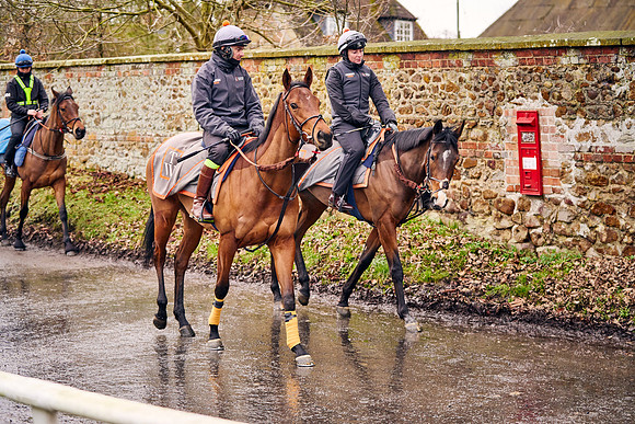 2024-02-02-Dominic-James-04314