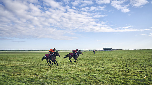 SUMMER GALLOPS-2nd-May-DJ-1769