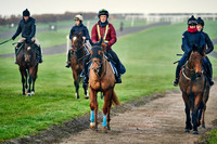 16th Nov Lambourn 006