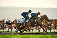 16th Nov Lambourn 006