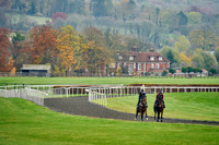 16th Nov Lambourn 009
