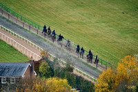 16th Nov Lambourn 009
