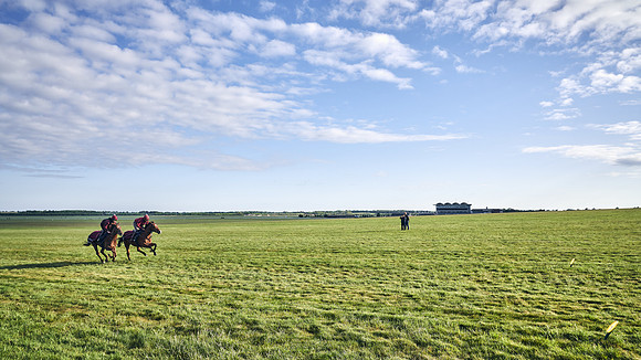 SUMMER GALLOPS-2nd-May-DJ-1712