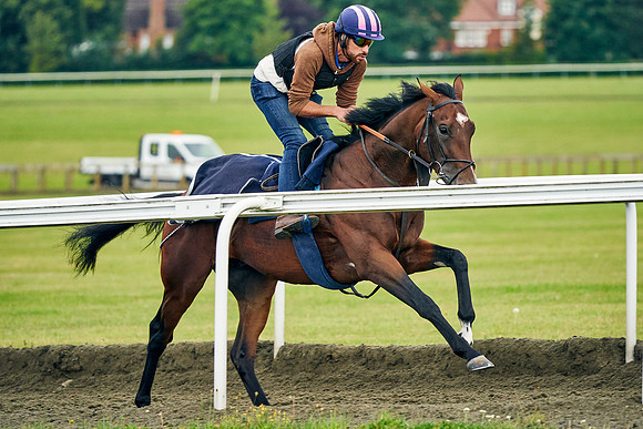 2021-08-03-Dominic-James-0674