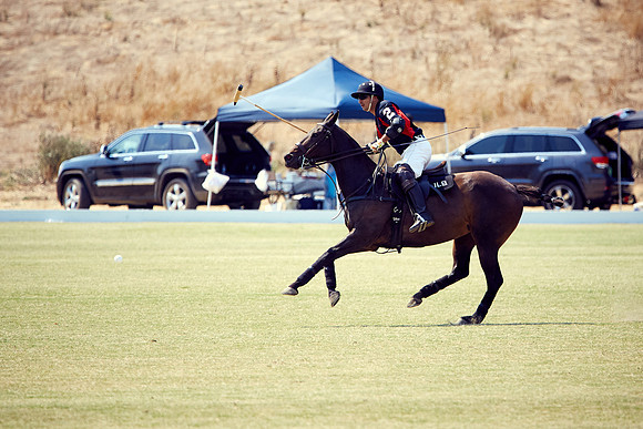 Oyster Cup Polo tournament