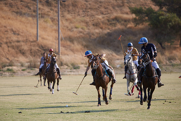Oyster Cup Polo tournament