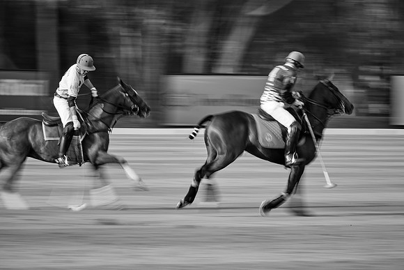THAI-POLO-OPEN-2019_DJ_0565