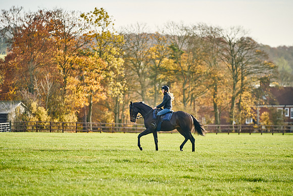 2021-11-17-Dominic-James-3362