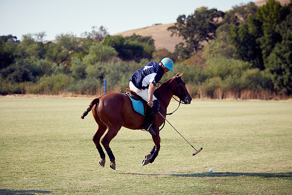 Oyster Cup Polo tournament