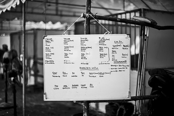 _DSC1306.ARW