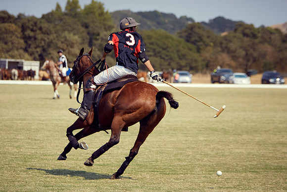 Oyster Cup Polo tournament