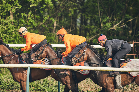 NEWMARKET-GALLOPS-24nd-APRIL-DJ-0653